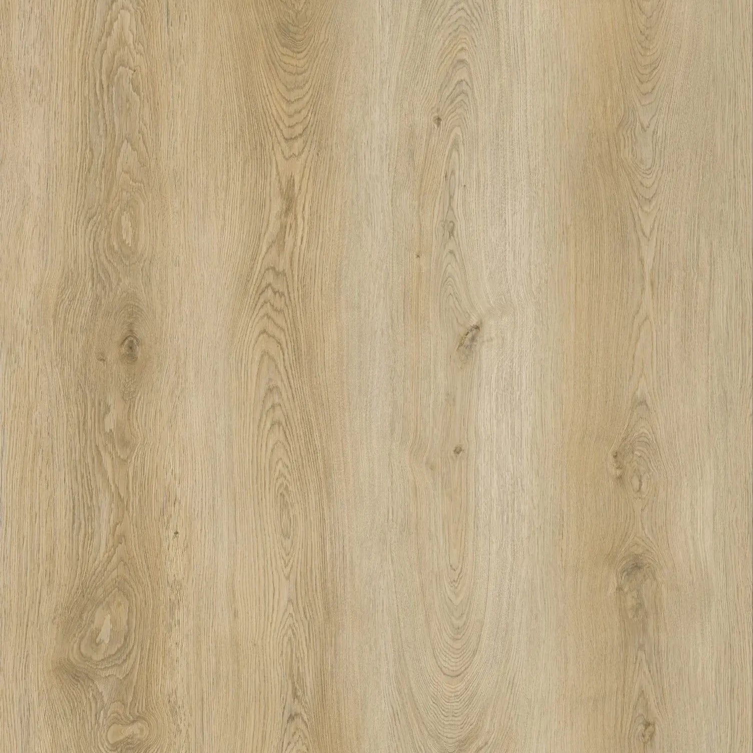 Elite LVT Planke LARGE EKSLUSIV Klik m. kork bagside - Lys Eg
